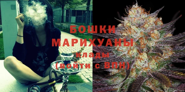 амф Гусь-Хрустальный