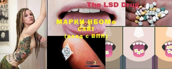 амф Гусь-Хрустальный