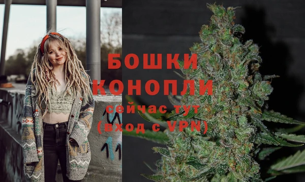 крисы Горнозаводск