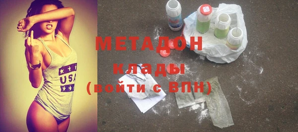 амф Гусь-Хрустальный